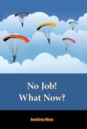 No Job What Now (Amazon) Cover