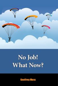 No Job What Now (Amazon) Cover