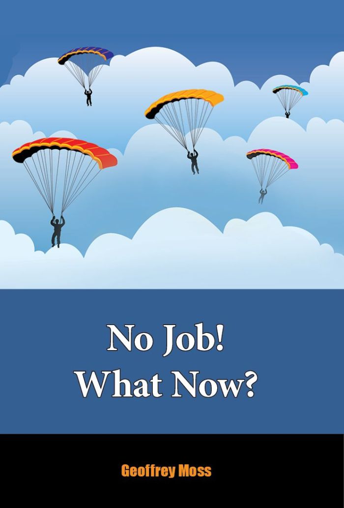 No Job What Now (Amazon) Cover