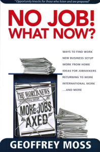 No Job What Now Cover