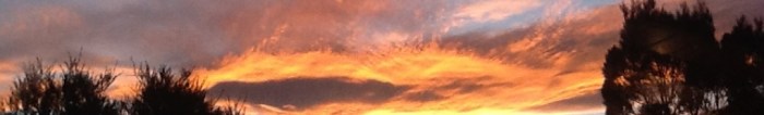 cropped-sky-background1.jpg
